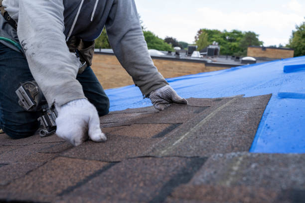 Best Gutter Installation and Roofing  in Houghton, NY