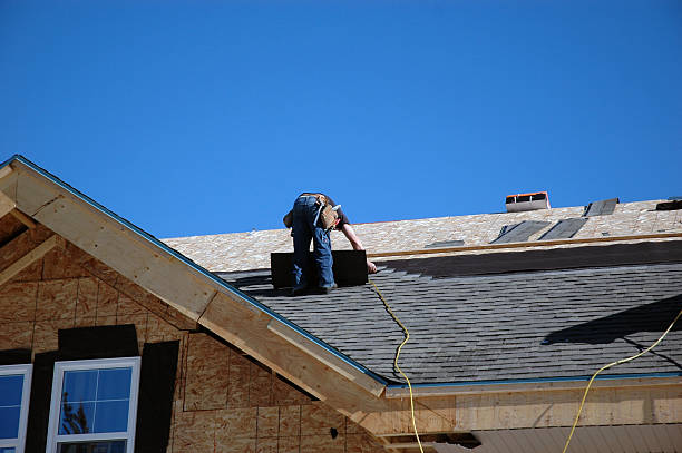 Best Roof Gutter Cleaning  in Houghton, NY