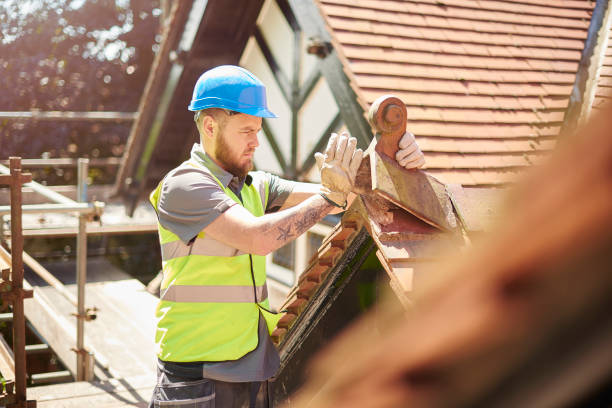 Best Roofing Contractor Near Me  in Houghton, NY