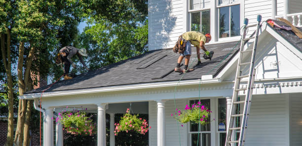 Best Roof Restoration Services  in Houghton, NY