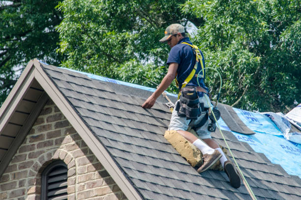 Best Sealant for Roof  in Houghton, NY